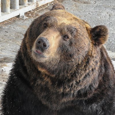 mmilosz74's profile picture. لَا إِلٰهَ إِلَّا الله مُحَمَّدٌ رَسُولُ الله