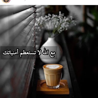 sam511365330's profile picture. 