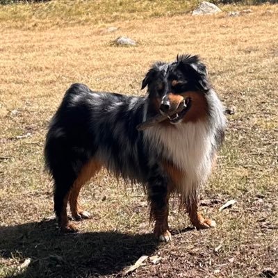 MattC88's profile picture. Adventure lover, thrill seeker, video game player, music lover, question asker, social butterfly, loner. I am what I do, not who I do.