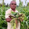 vishnukumarojha's profile picture. small progressed farmer