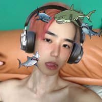 猪猪不早睡is(互推dd (@zhuzhu0929) 's Twitter Profile