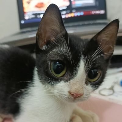 shxxii_x's profile picture. 