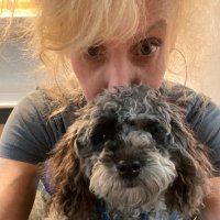 maddie corman(@maddiecorman) 's Twitter Profile Photo