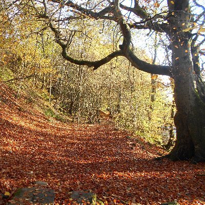 One time owner of Alston Youth Hostel. Passionate walker of here, there and anywhere absorbing the beauty of nature and taking photos as I go!