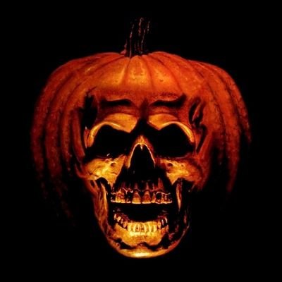 Hello! 
I Love The Halloween Films and horror movies! 🎃 
I am a huge fan of the Halloween II (1981)
I am kind, a He and Bisexual, have a nice day 😊