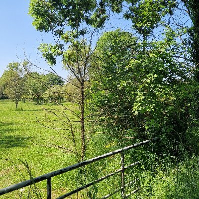 Old Marston Parish Council twitter site, Old Marston, Oxford, OX3 0RN. Latest news from the parish council.