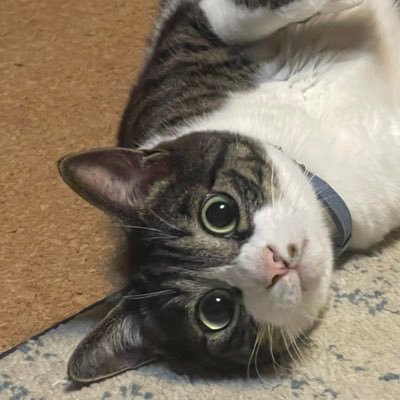 さのじさんのプロフィール画像