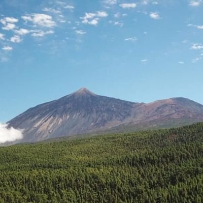 EuroComican S.A.L.
Aprobamos proyectos turísticos a cambio de una comisión.