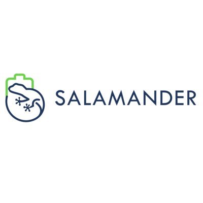 Smart, sustainable, safe, and reliable self-healing batteries. #SALAMANDER #battery #HorizonEU #sustainablebatteries