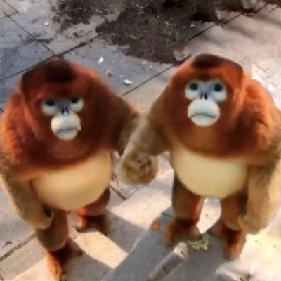 GoatedHasan's profile picture. 19