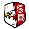 SBCsoccer's profile picture. Official page for Southern Boone Boys & Girls Soccer. 2020 Boys State Champions.