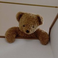 でらぬんてぃうす (@dsan_deradera) Twitter profile photo