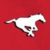 Calgary Stampeders (@calstampeders) Twitter profile photo