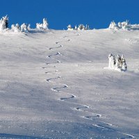 MrChipper (@mrchipper01) 's Twitter Profile