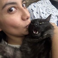 🎀Damaris🐱 (@damaris95980325) 's Twitter Profile Photo 🎀Damaris🐱 (@damaris95980325) 's Twitter Profile Photo