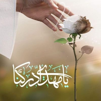 alzaman_313's profile picture. .