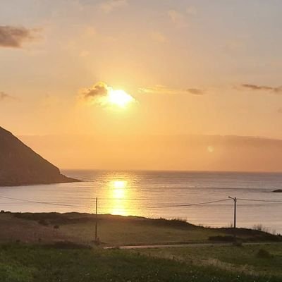 matermisericor's profile picture. 