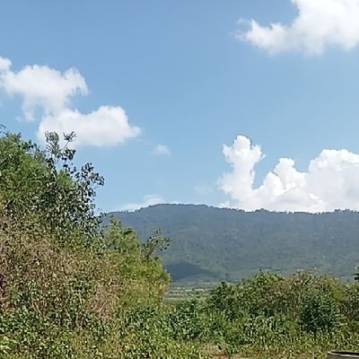 aqadeer243's profile picture. I am a digital creator.