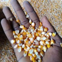 Agric Product NIGERIA(@AgricProduct) 's Twitter Profile Photo