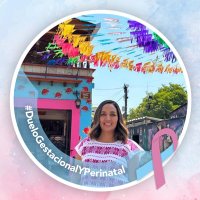 Mariana Nassar Piñeyro (@nassarmariana) 's Twitter Profile