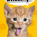 Miles Allen - @just_so_funny - Twitter