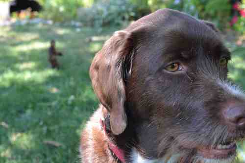 H2Gislove's profile picture. No hands! H2G: a hard reputation