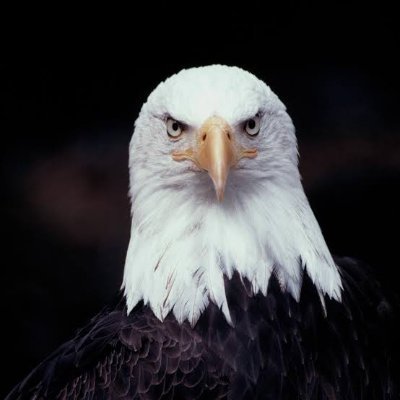 devil_signature's profile picture. Hacker, IT Specialist , GIS Expert, Software Engineer and Information Data  & Forensic Analysts