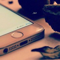 عشق کے راہی (@zunairkhan6050) Twitter profile photo