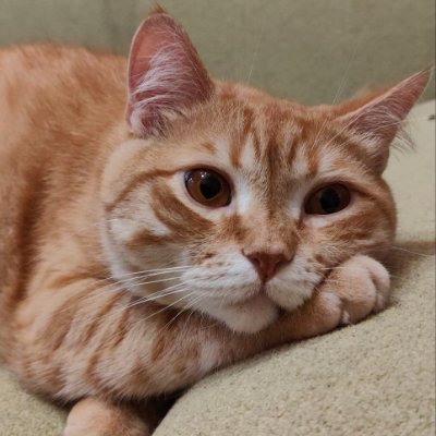 gerasim0916's profile picture. 