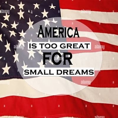 greyskip1's profile picture. The American dream belongs to all of us 🇱🇷