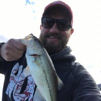 Hogfan Matt ✝️🐗 (@hogfanmatt) 's Twitter Profile