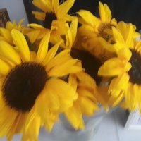 Sharon Daly (@sharonborn2run) 's Twitter Profile