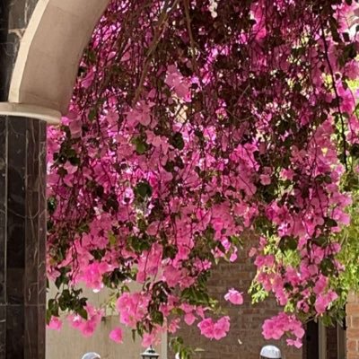 متفائلة .. وأُحب كلّ جميل .. 🧠🍃🕊 مهتمة بمجال الطفولة المبكرة 👦🏻👧🏻. مُدربة دولية مُعتمدة TOT من المؤسسة العامة للتدريب التقني والمهني .