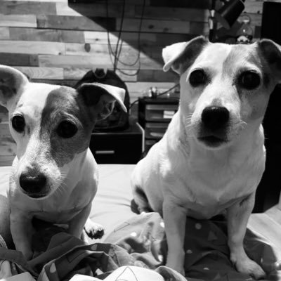 ilanmtp34's profile picture. 17’
mtp/34
fun and fun