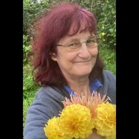 janet t king 💙🌻🏴󠁧󠁢󠁷󠁬󠁳󠁿(@janet_t_55) 's Twitter Profile Photo
