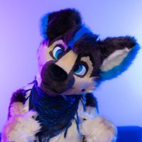 Aeko 💙 🔜 FWA(@AekoShep) 's Twitter Profile Photo