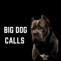 BigDoG_CalLz Gemz! 🐶(@BigDogCalLGemz) 's Twitter Profileg