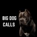 BigDogCalLGemz