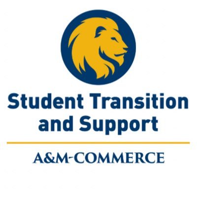 The STS office helps incoming freshmen to immerse themselves in a range of challenging and rewarding experiences.