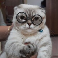 Mehmet ARDIÇ (@memet_1981) 's Twitter Profile
