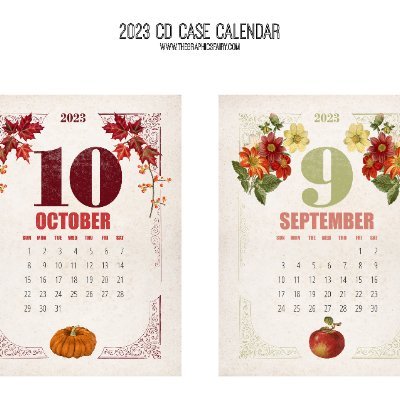 roboticscompany's profile picture. 