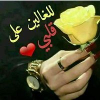 مدحت باشا (@lyskhk7qei8qys3) Twitter profile photo