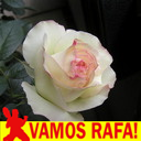 snowgoosevb's profile picture. I love Spanish & Argentinian tennis players. 
Me Gusta Rafa