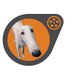 YaBoiSorzoi (@YaBoiSorzoi) Twitter profile photo