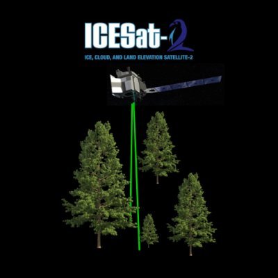 Created by ICESat-2 ST members Carlos Silva (@Web_LiDAR), Amy Neuenschwander (@longhornglam), and Sorin Popescu to share ICESat-2's vegetation research!