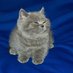 Cor◢ ◤ (@cor1wec) Twitter profile photo Cor◢ ◤ (@cor1wec) Twitter profile photo