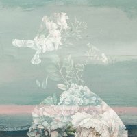 Ryan Wayne (@ryanwaynemusic) 's Twitter Profile