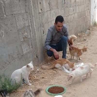 father of two children  I work in a charitable hospital as an accountant.  I also work in delivering food to homeless street cats. Help provide food for them