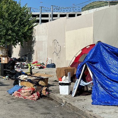As a resident on Poinsettia Place, I have watched the city do nothing, as the homeless encampment, takes over the park and the streets.