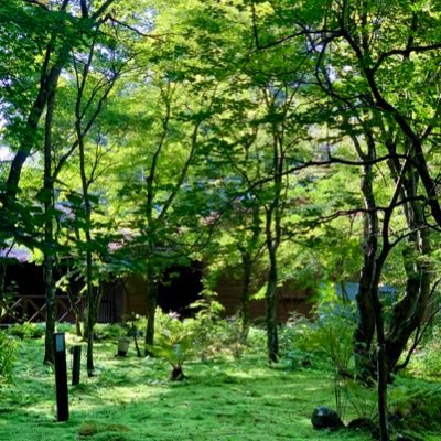 f3EVveEAkS9eVpJ's profile picture. b-monsterに楽しく通ってます。そして東方神起LOVE❤️